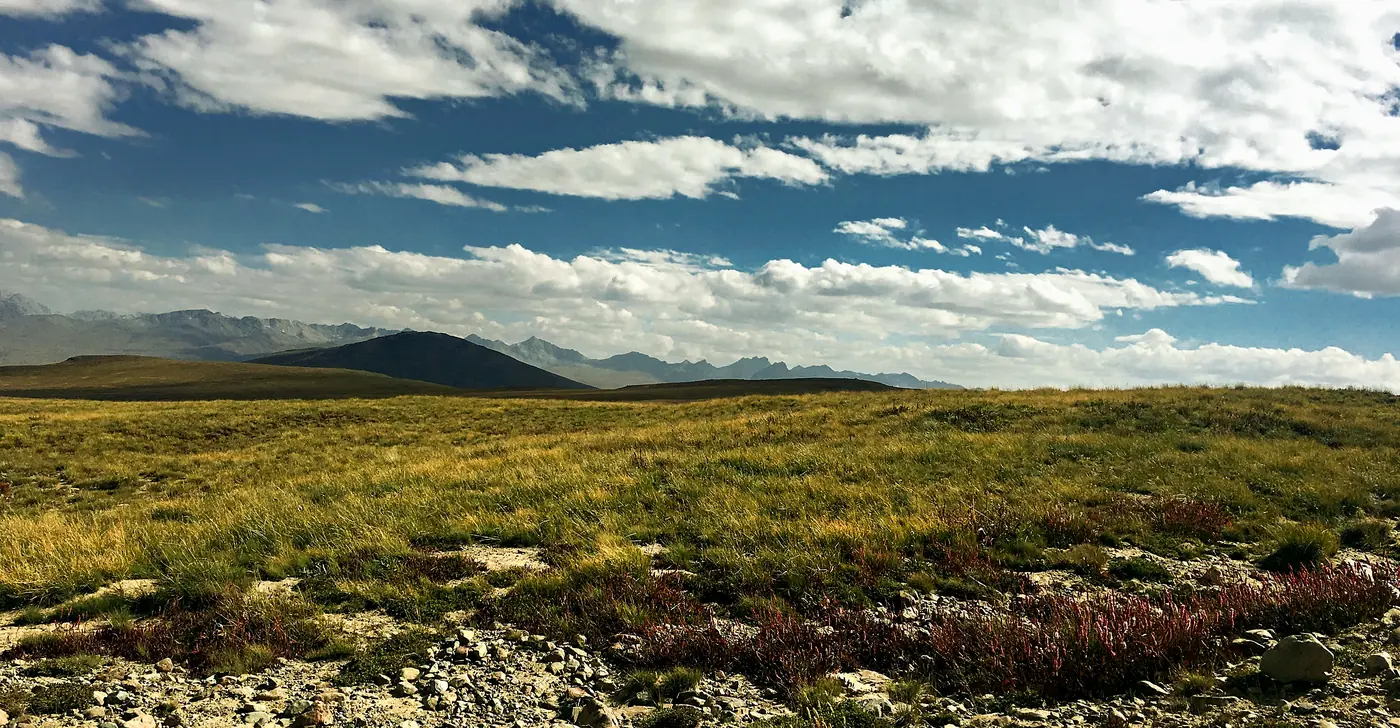 The rolling grasslands of the Deosai plains
