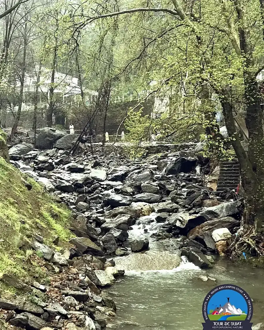 A forest stream running over white stones