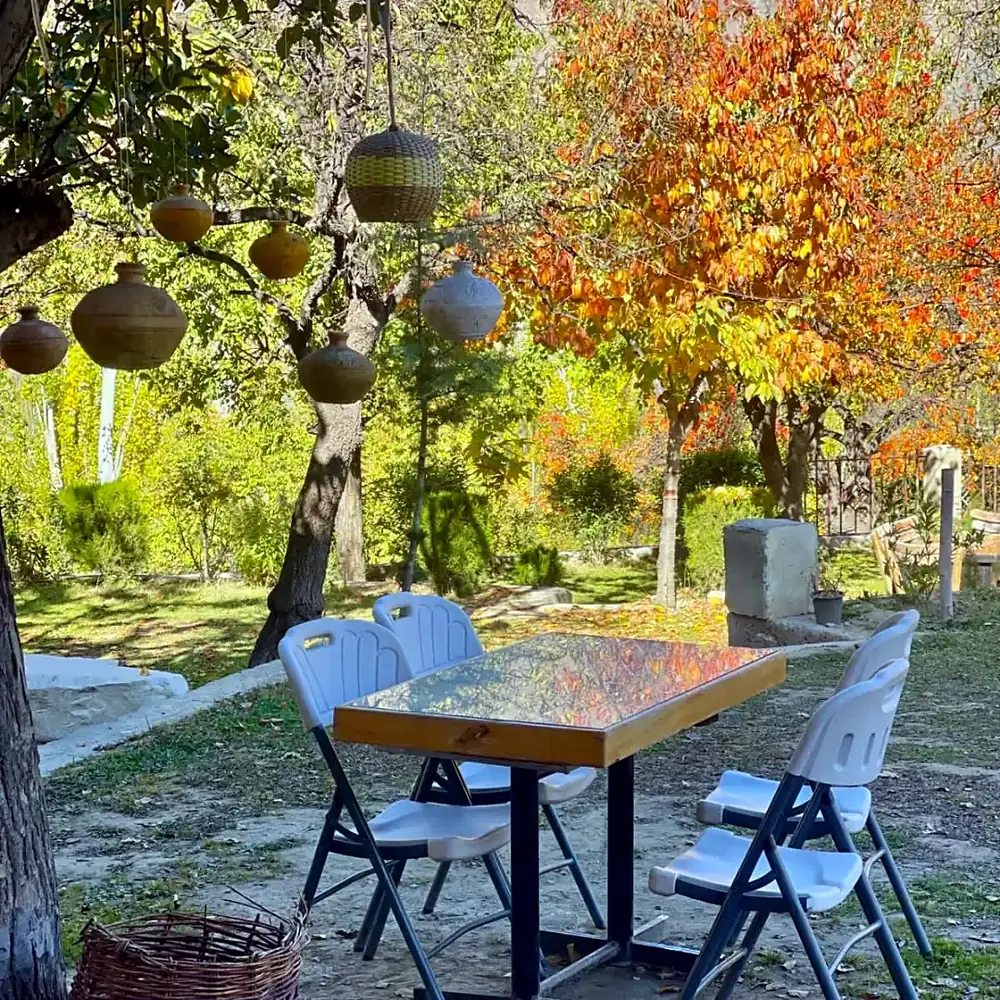 A long dinner laid out in an autumn garden