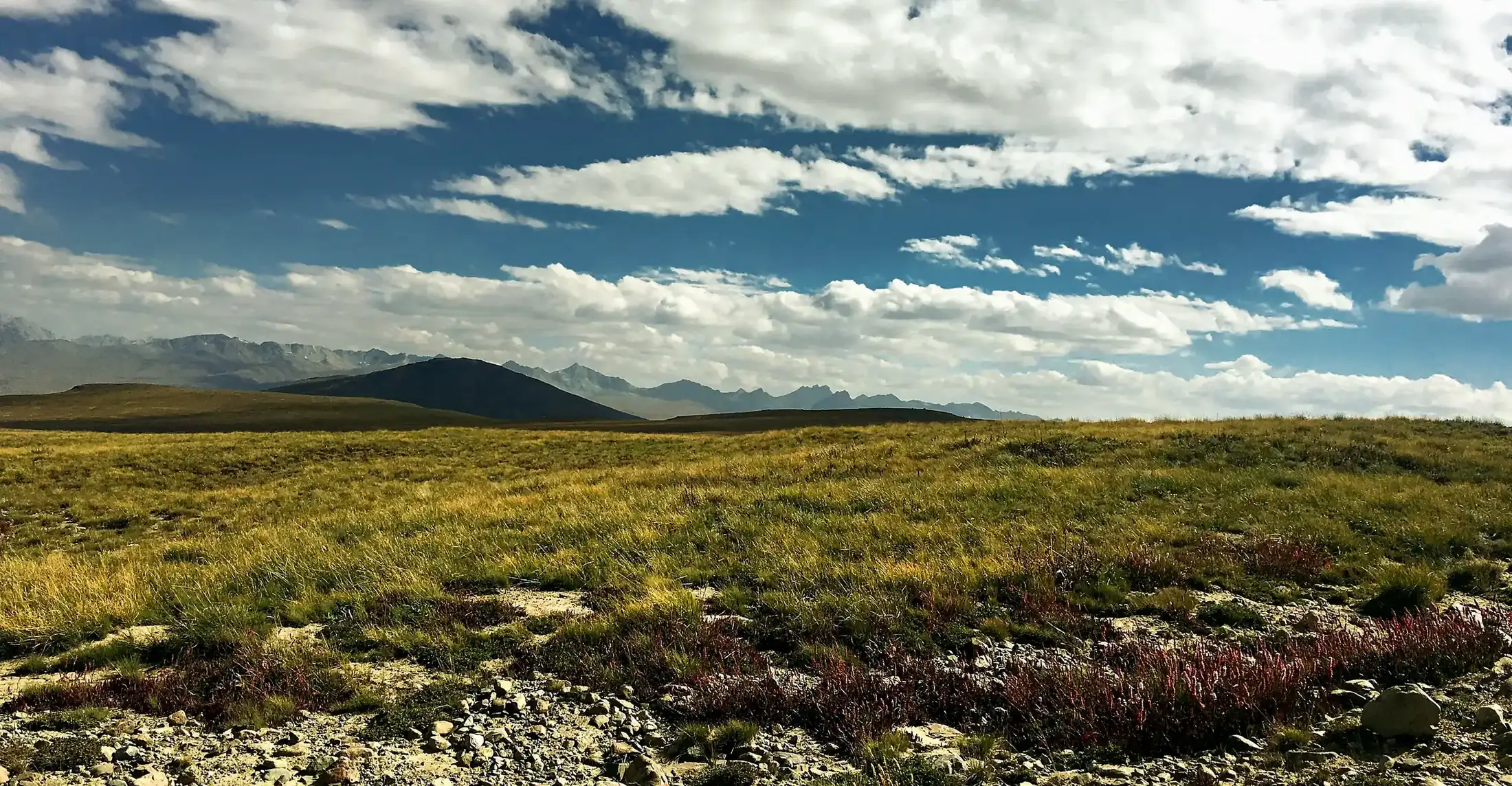 The high plains of Deosai under a wide sky