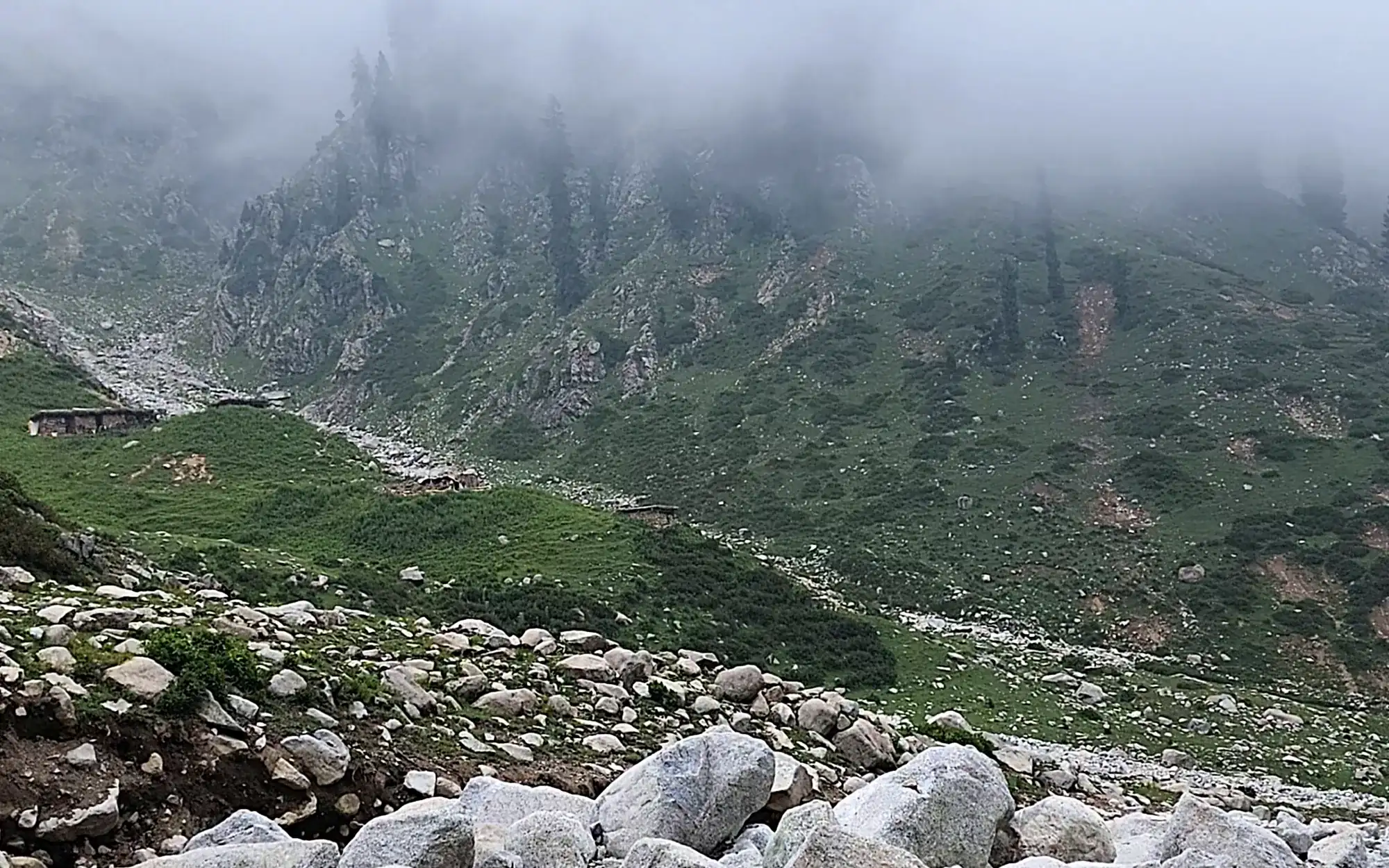 Mist over pines above a mountain stream